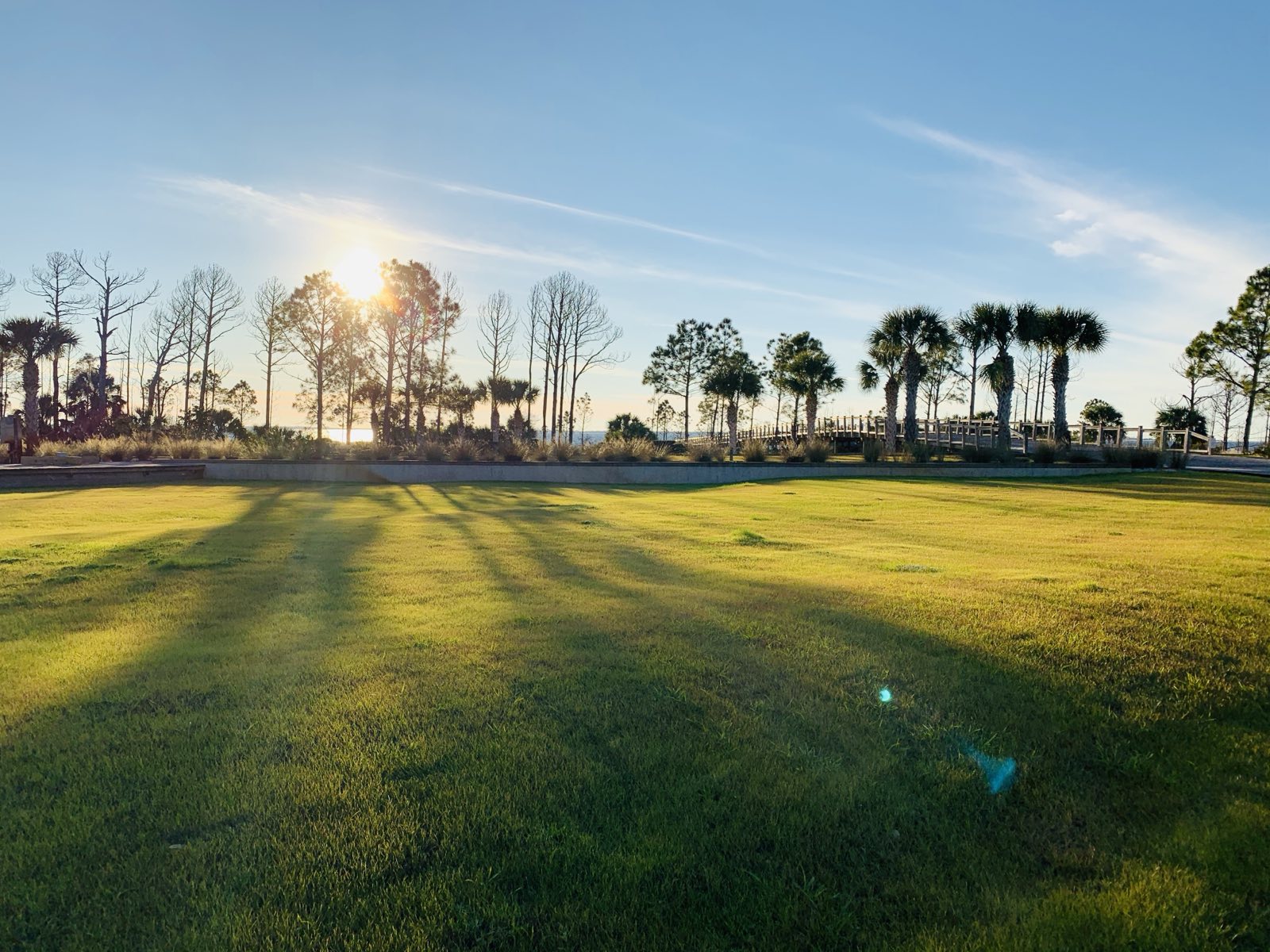 Open community lawn at sunrise with boardwalk and palms