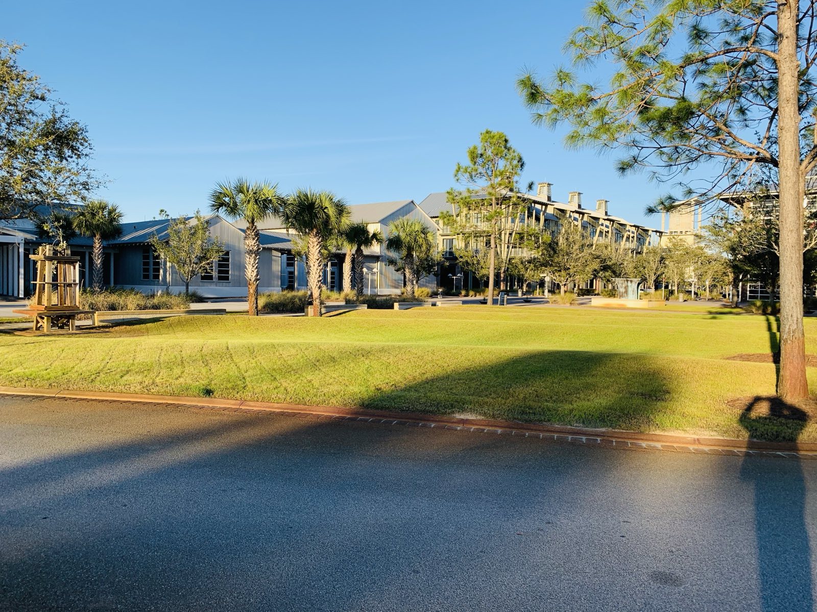 Commercial town center landscaping with palms and open lawn